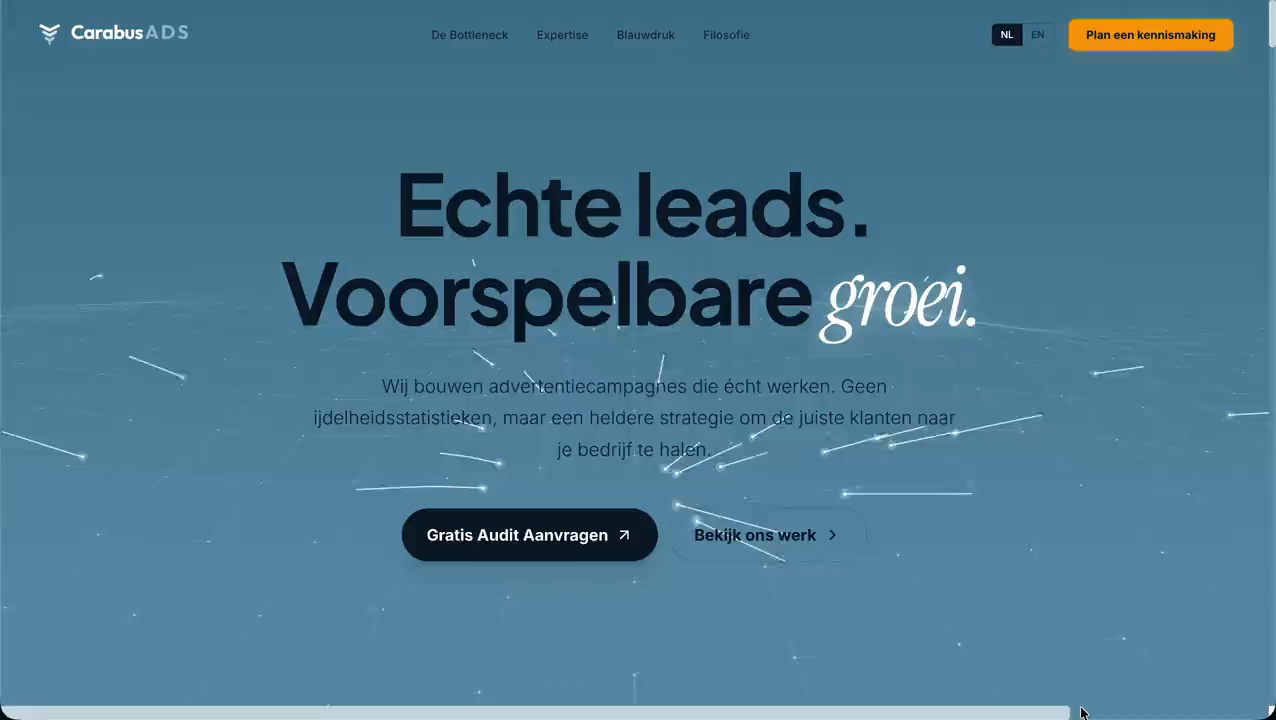 Website van Carabus Ads